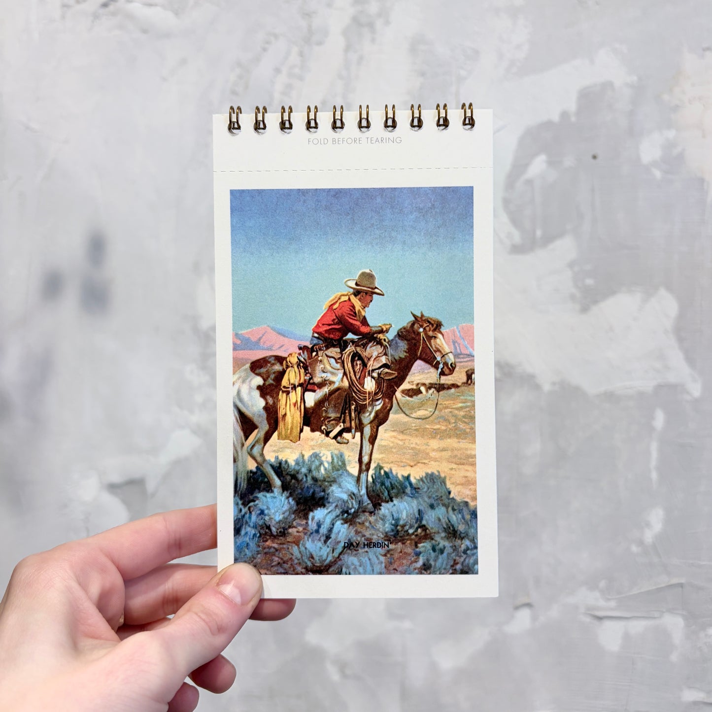 Cowboys Postcard Booklet