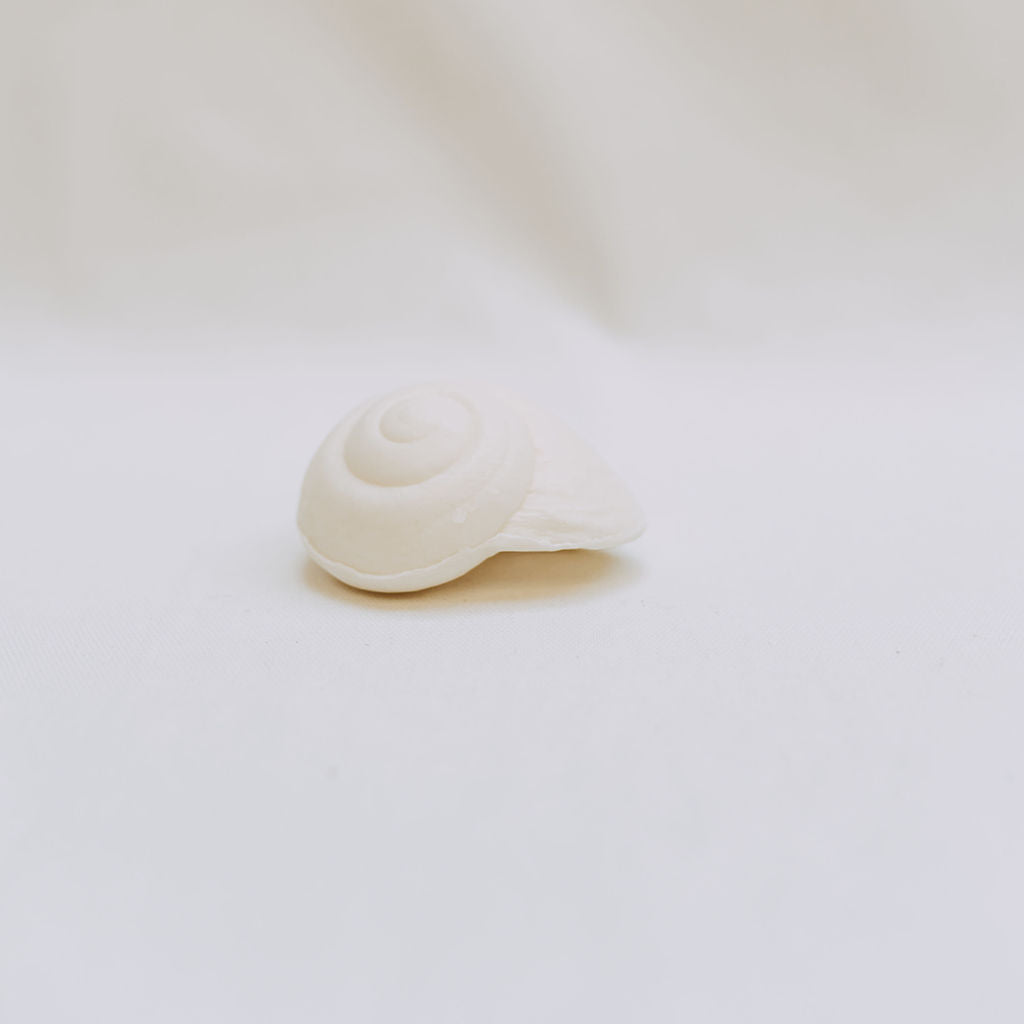 Shell Soap