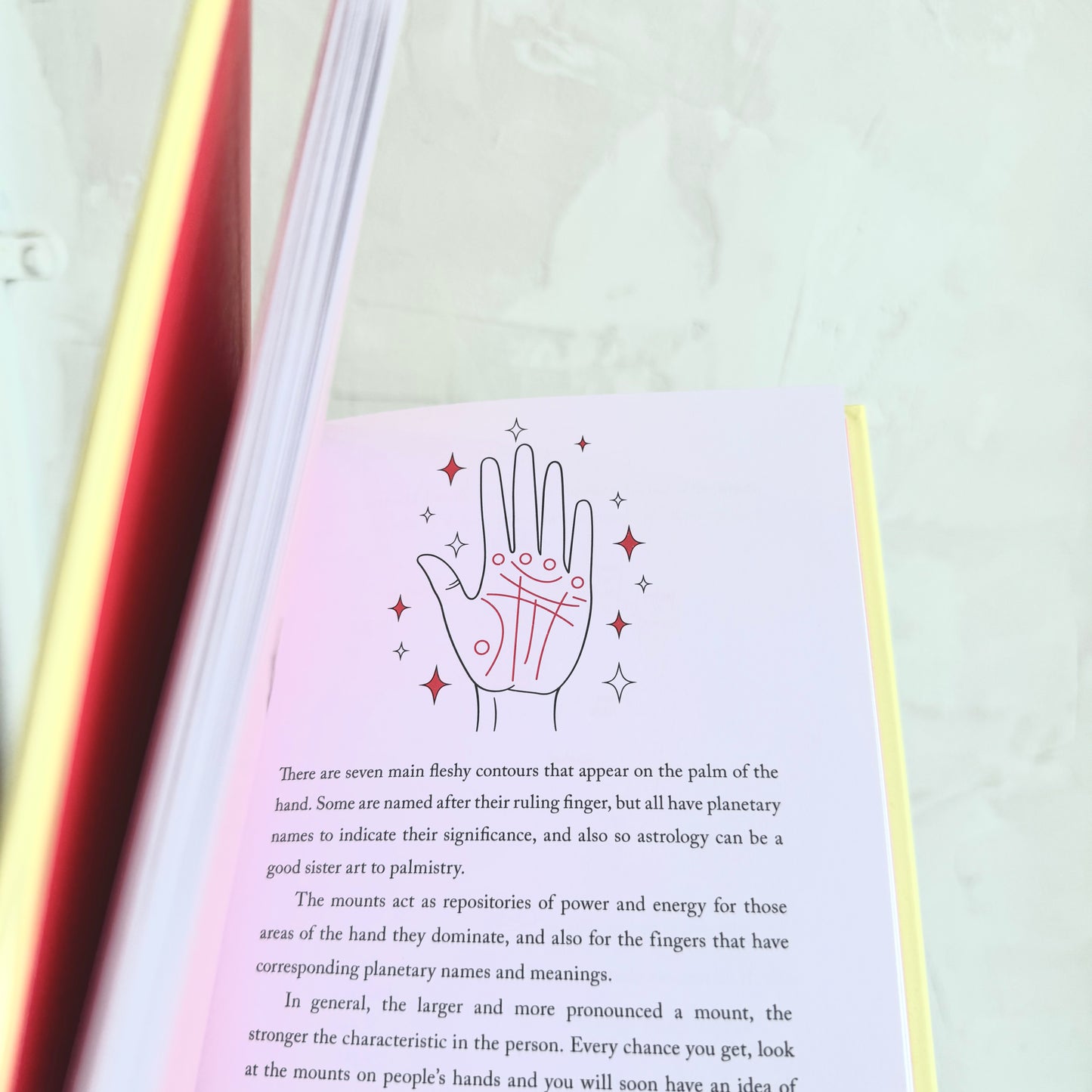 A Little Bit of Palmistry: An Introduction to Palm Reading