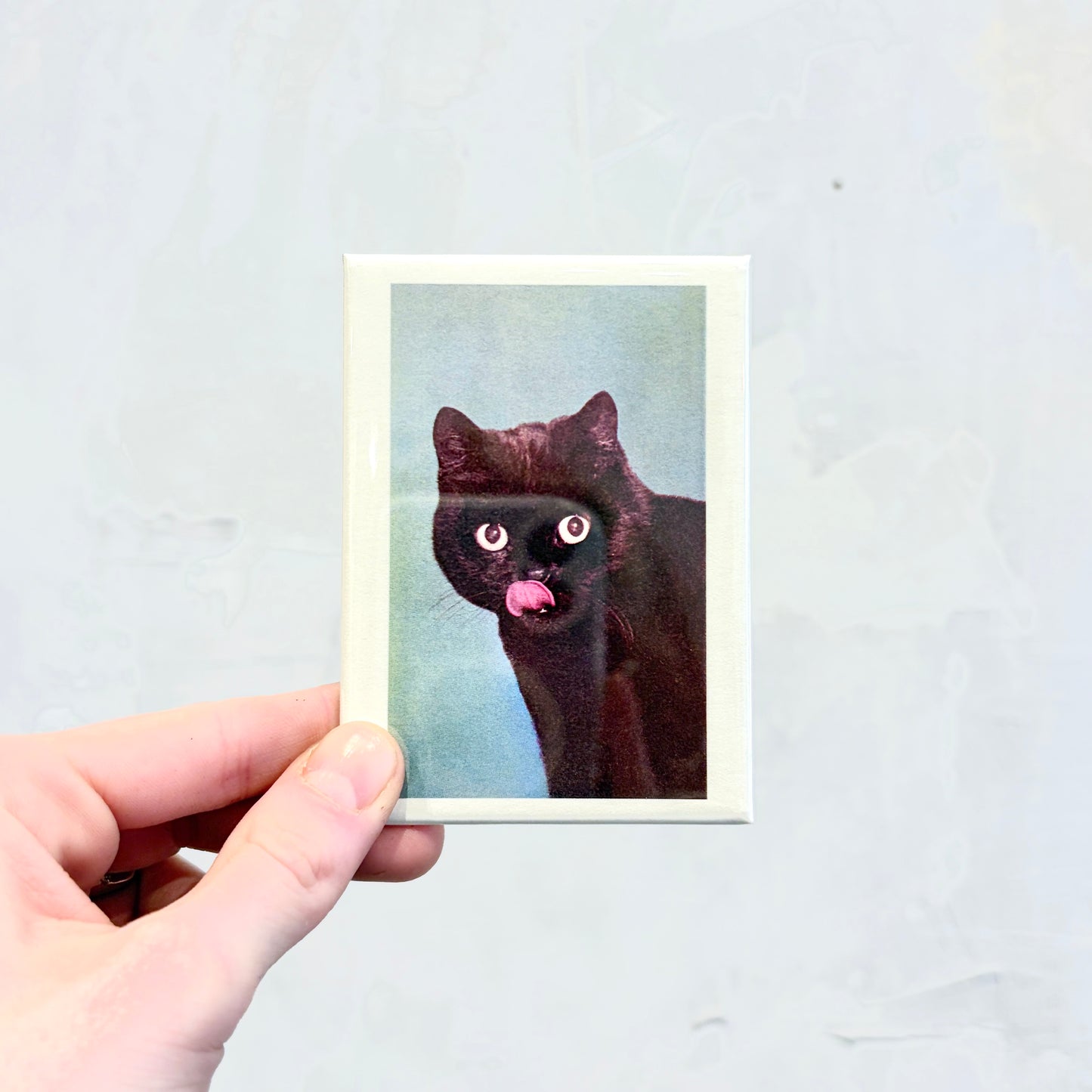 Black Cat Licking Chops