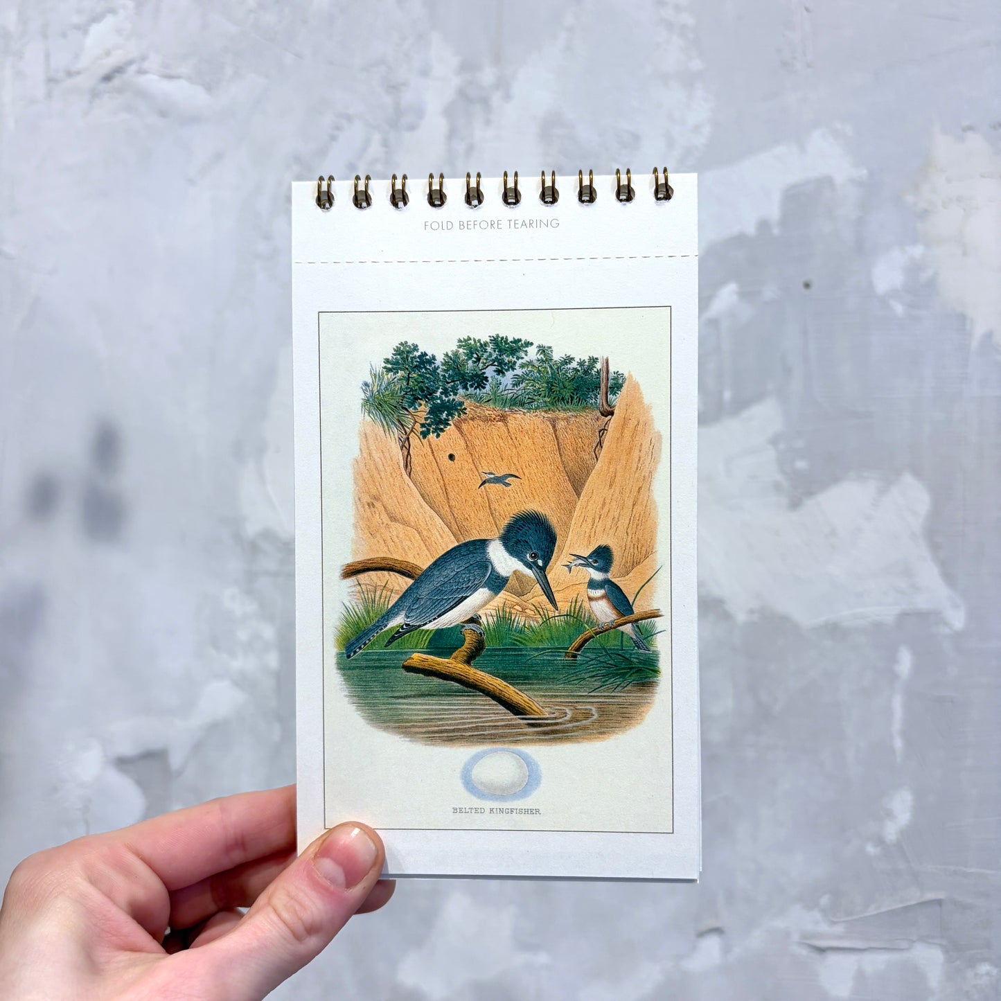 Birds Postcard Booklet