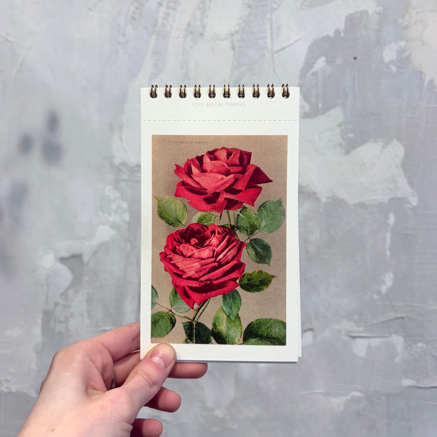 Roses Postcard Booklet