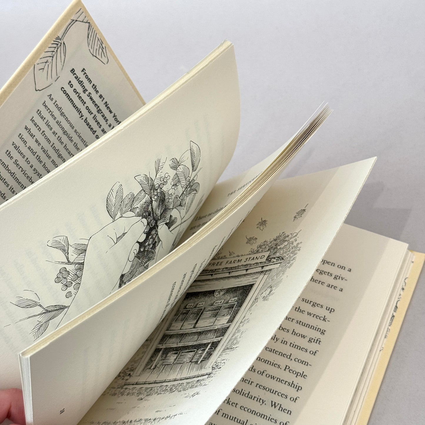 The Serviceberry: Abundance and Reciprocity in the Natural World