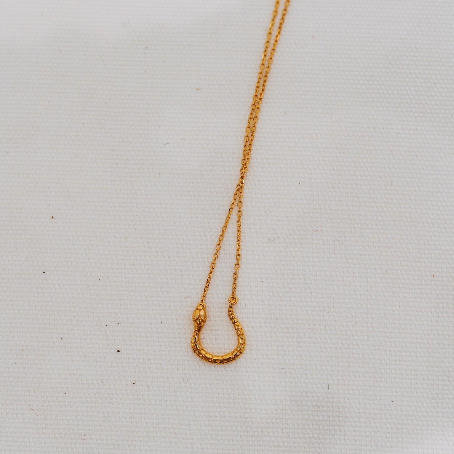 Serpent Charm Holder Necklace