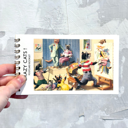 Crazy Cats! Postcard Booklet