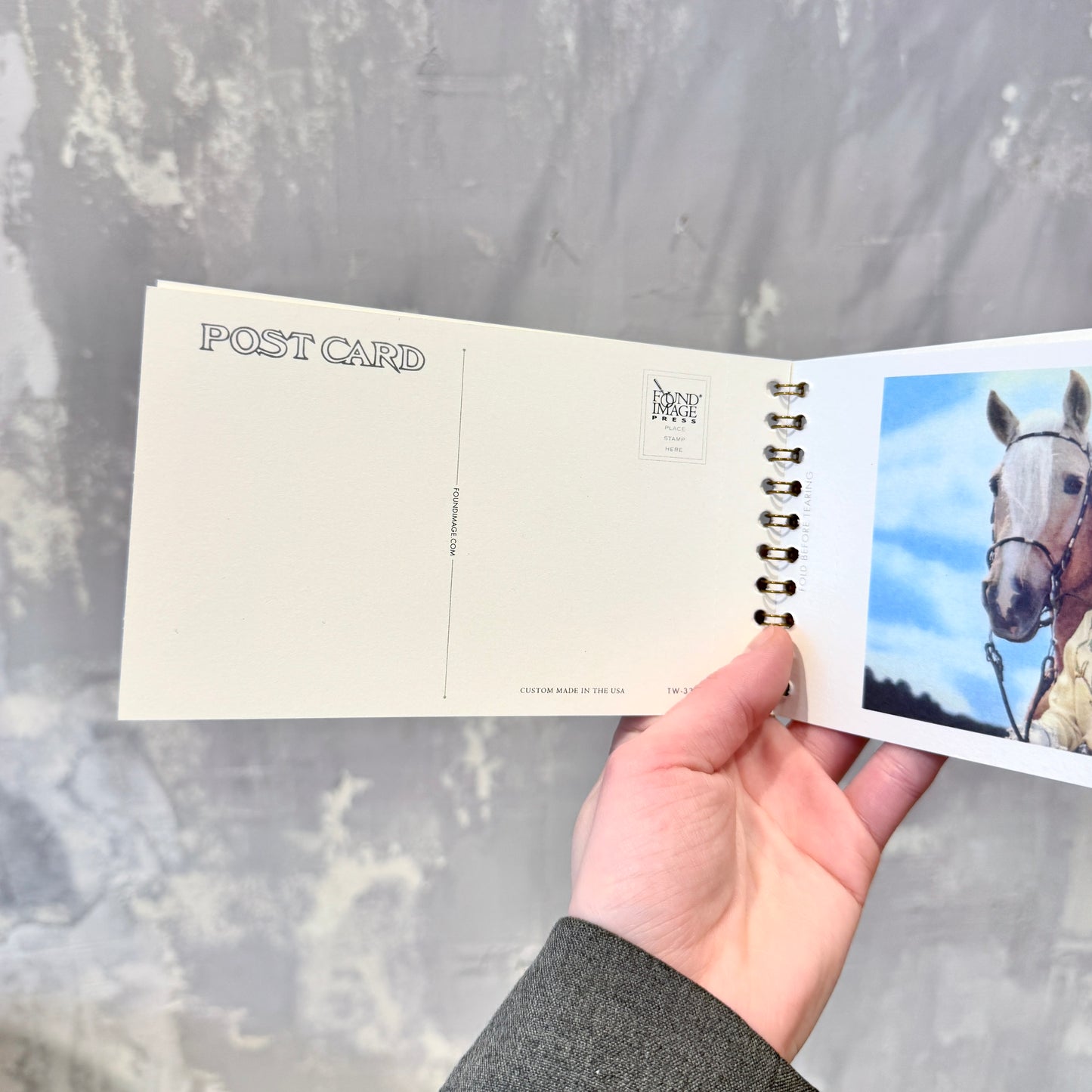 COWGIRLS Postcard Booklet