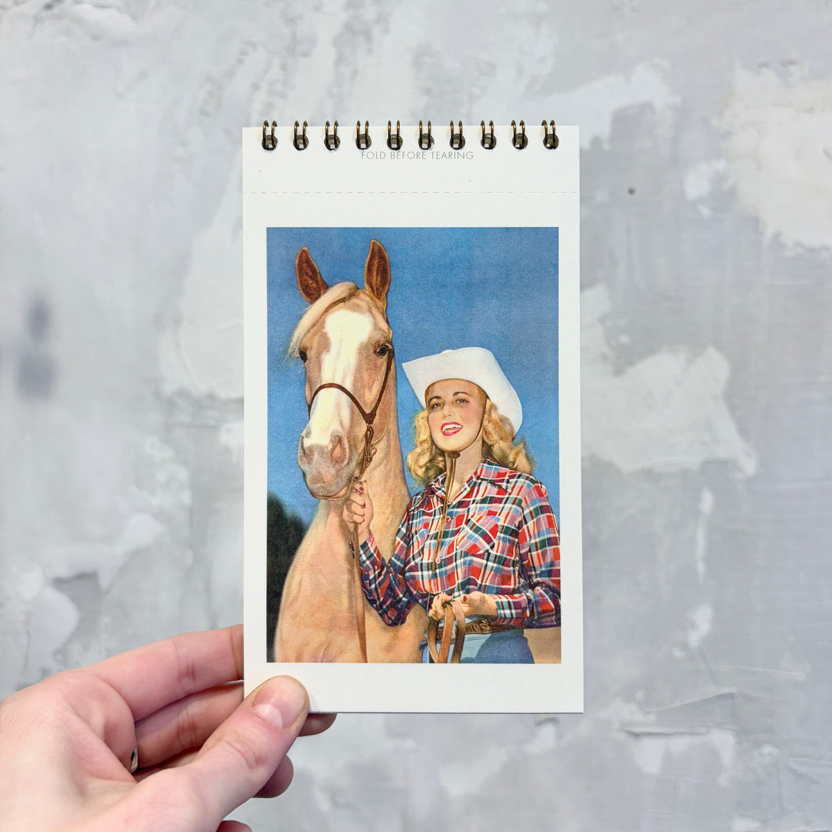 Cowgirl Power Postcard Booklet