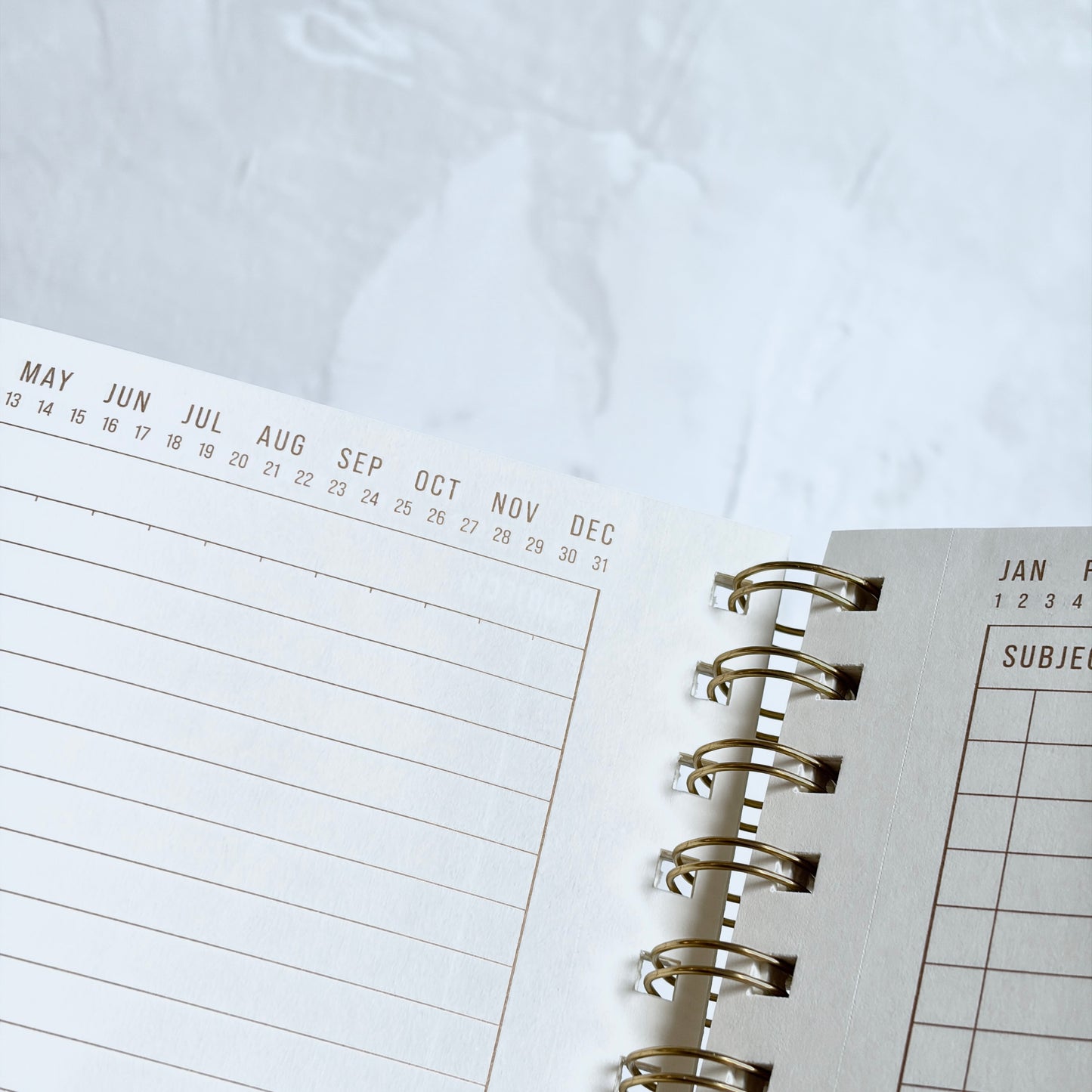 Wire Notebook - Small Green Lattice