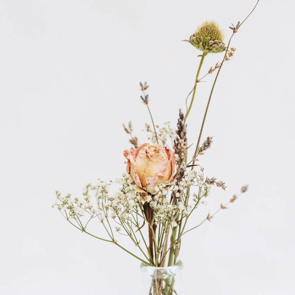 Mini Bottle Vase - Dried