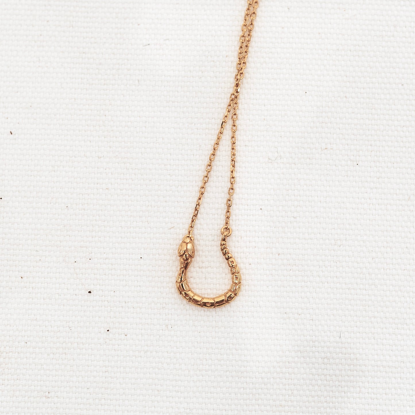 Serpent Charm Holder Necklace