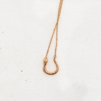 Serpent Charm Holder Necklace