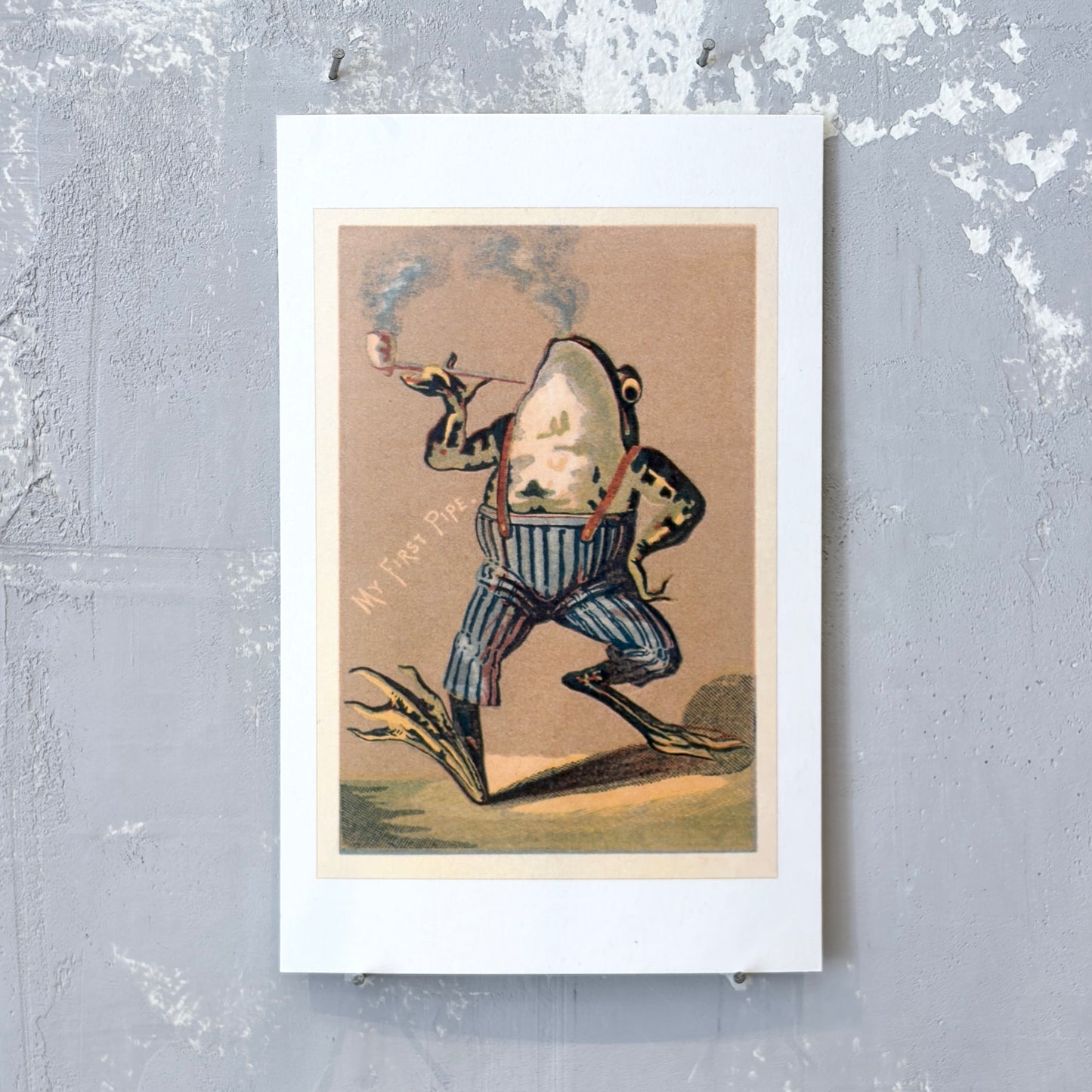 Walking Frog Postcard