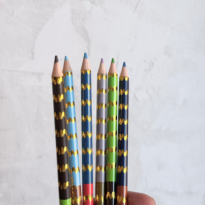 Mushroom 12 Double Sided Color Pencils