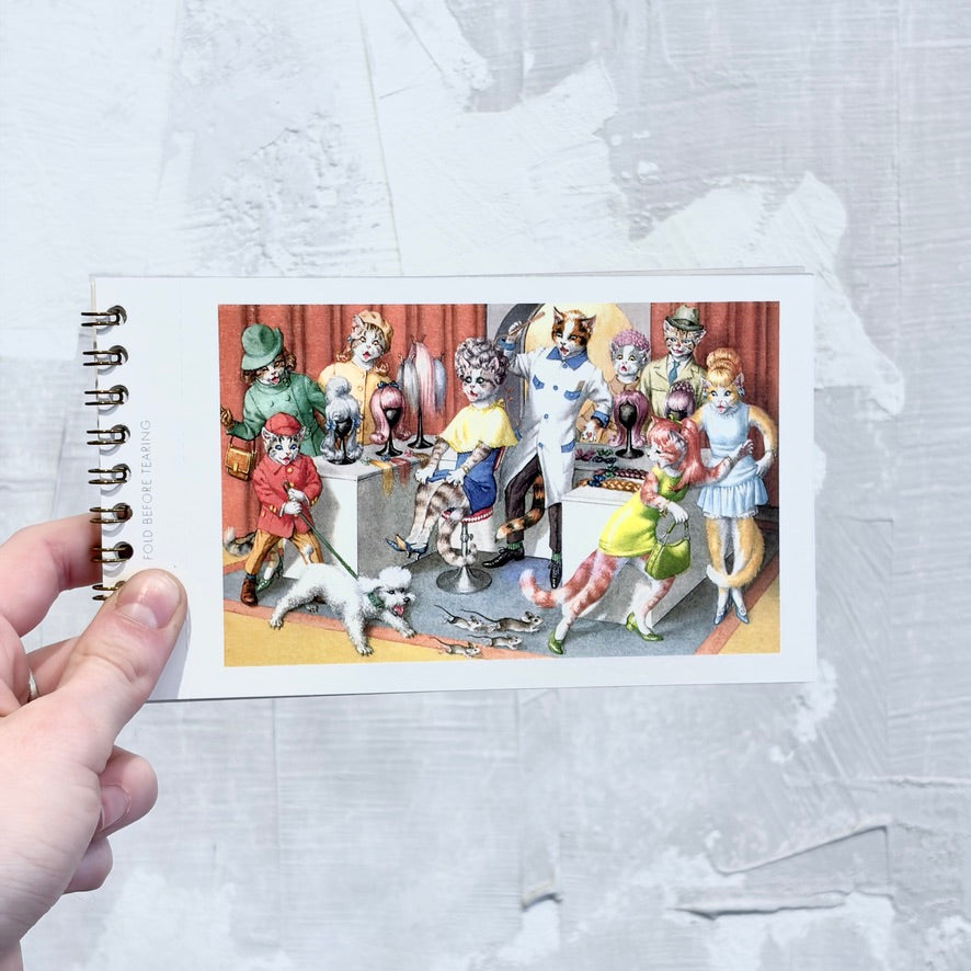 Crazy Cats! Postcard Booklet