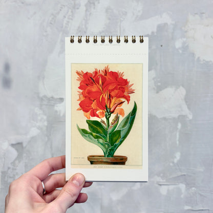 Flowers Postcard Booklet