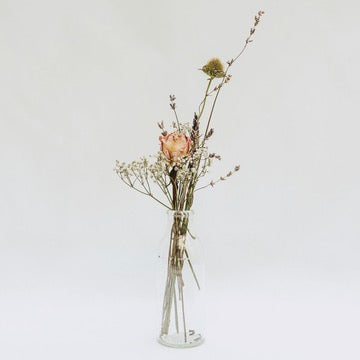 Mini Bottle Vase - Dried