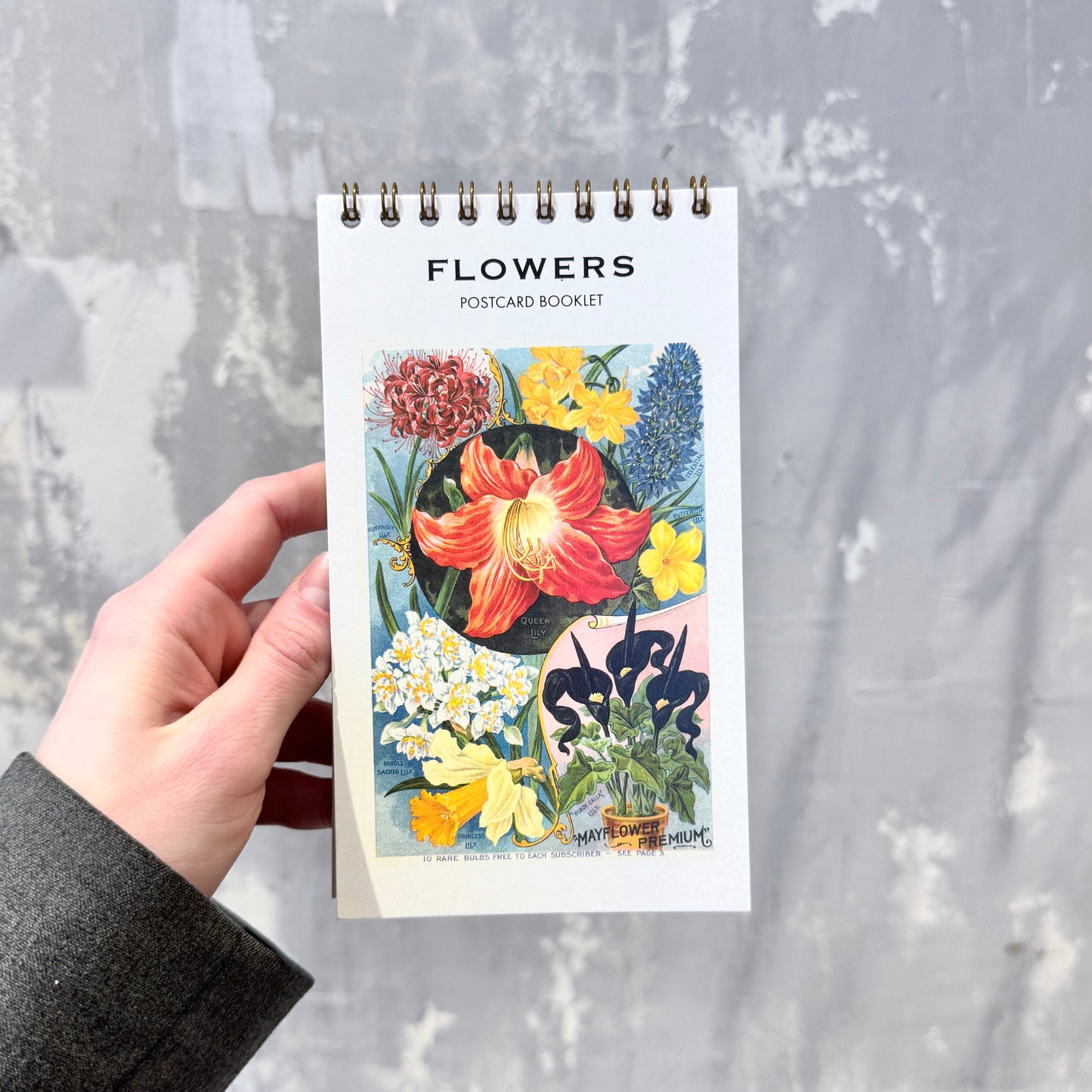 FLOWERS Postcard Booklet