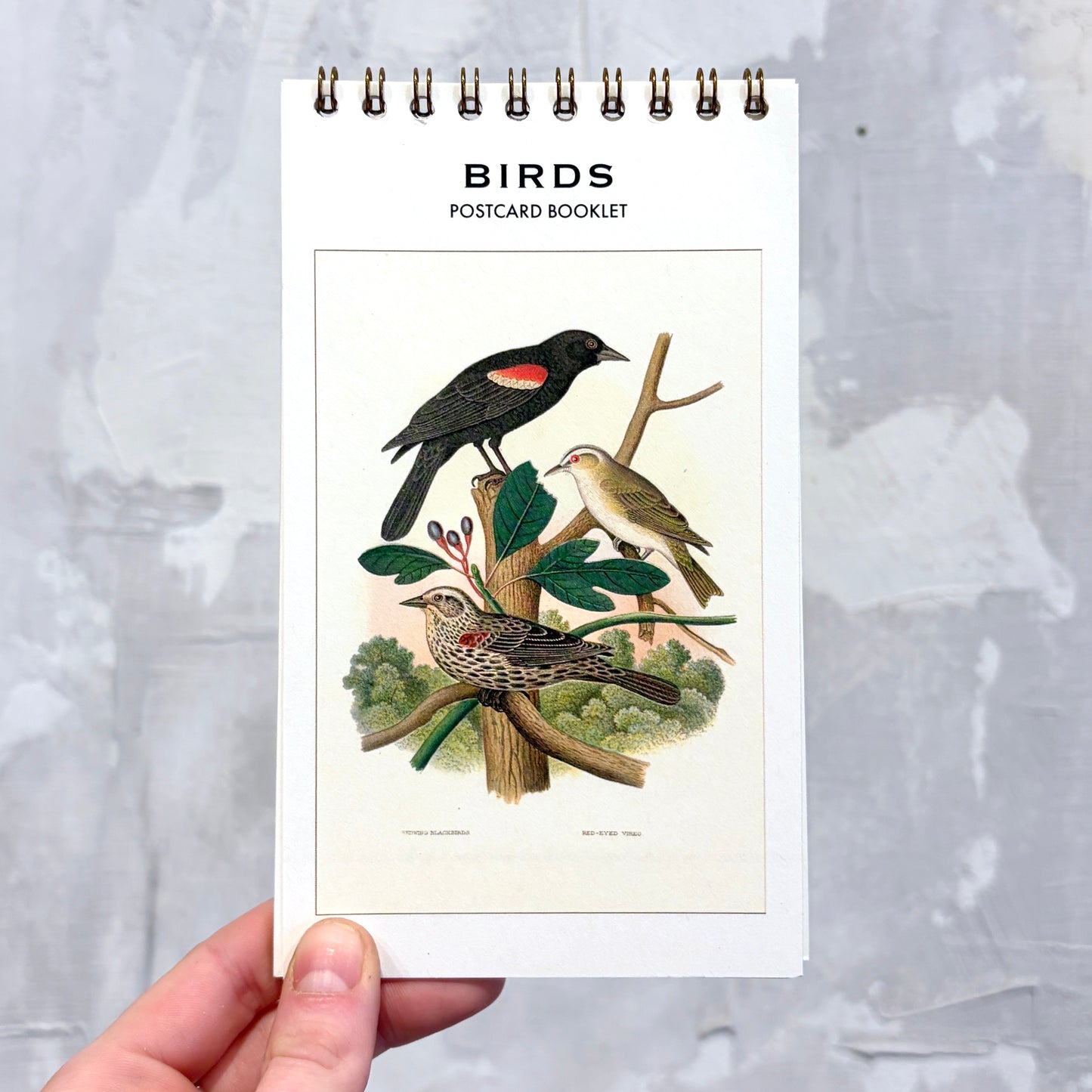 Birds Postcard Booklet