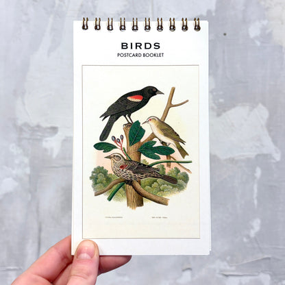 Birds Postcard Booklet