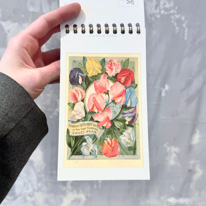 FLOWERS Postcard Booklet