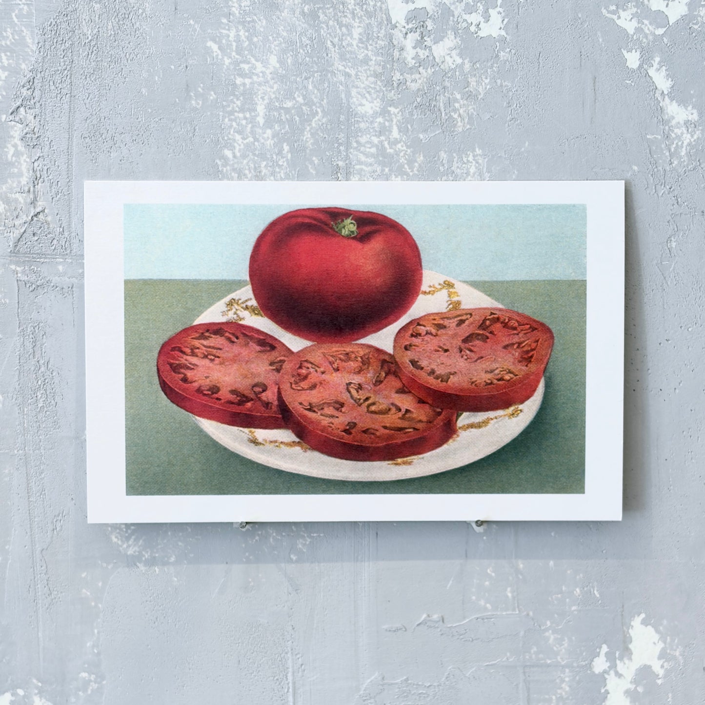 Fresh Tomato and Slices Postcard