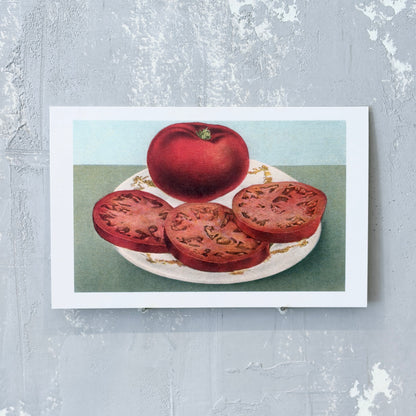 Fresh Tomato and Slices Postcard