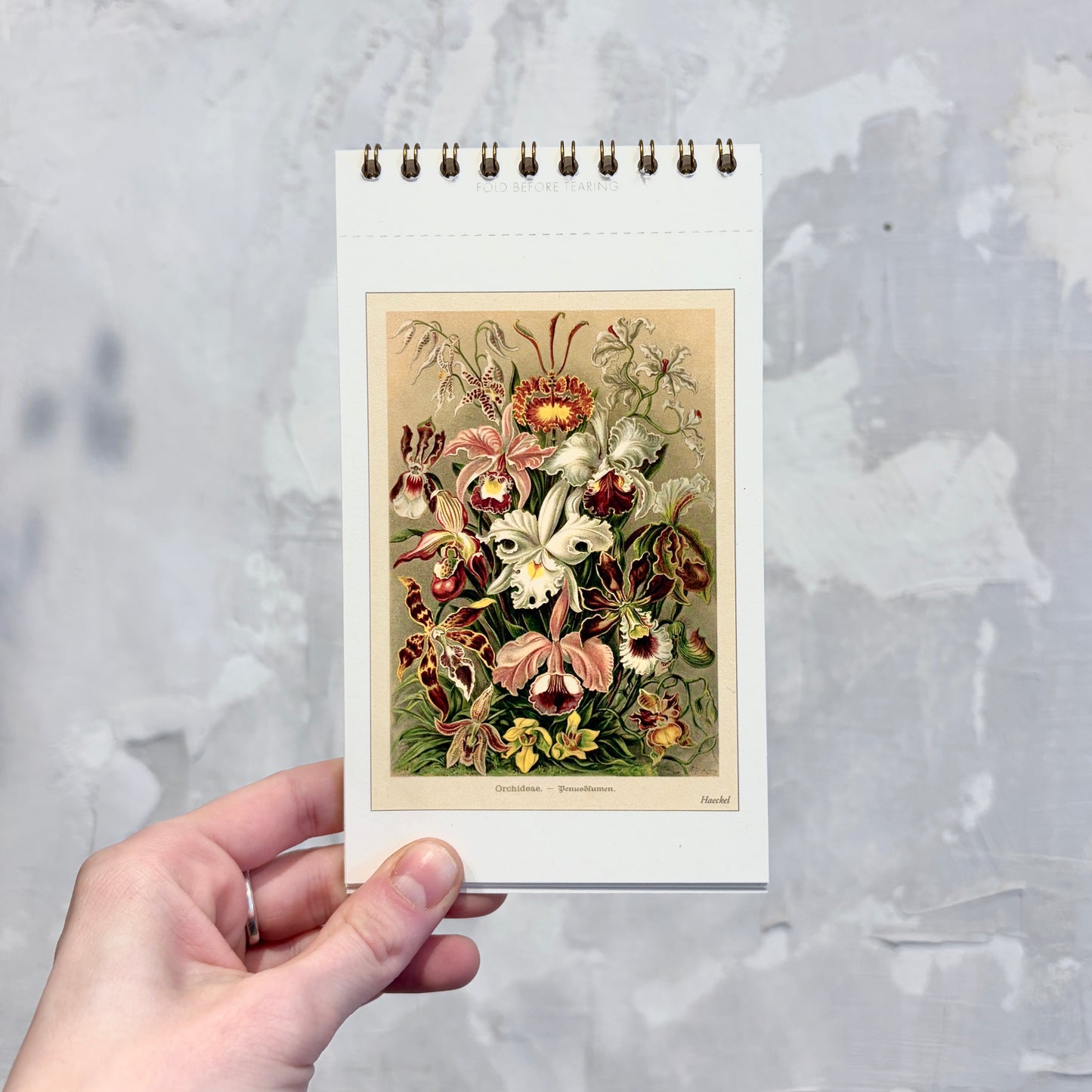 Flowers Postcard Booklet