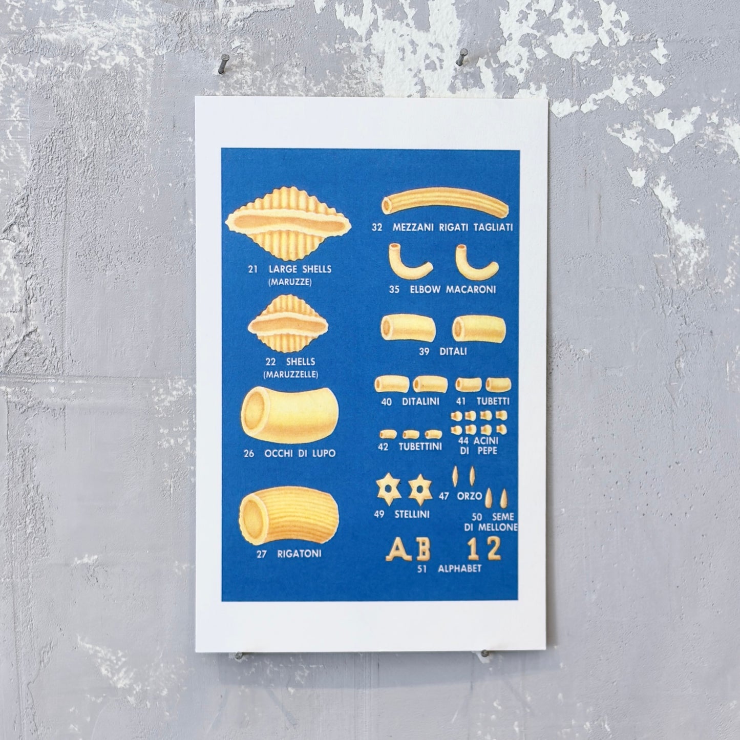 Variety of Pasta Postcard