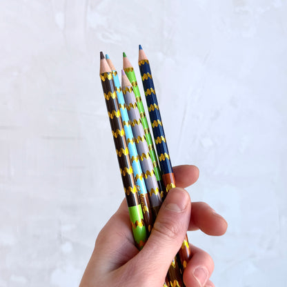 Fawn & Sun 12 Double Sided Color Pencils
