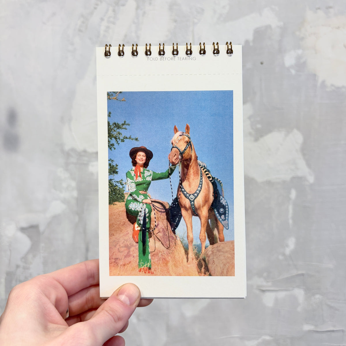 Cowgirl Power Postcard Booklet