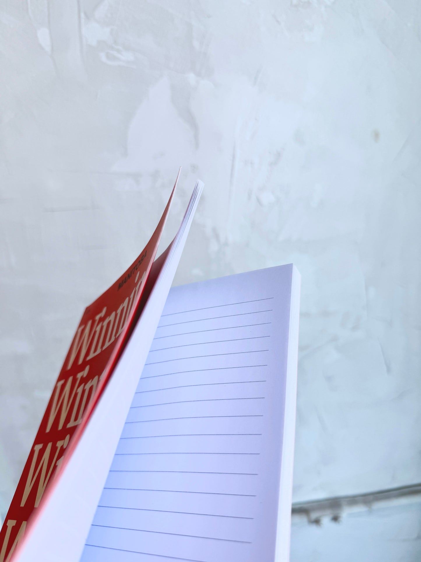 Winnipeg Notebook - Red