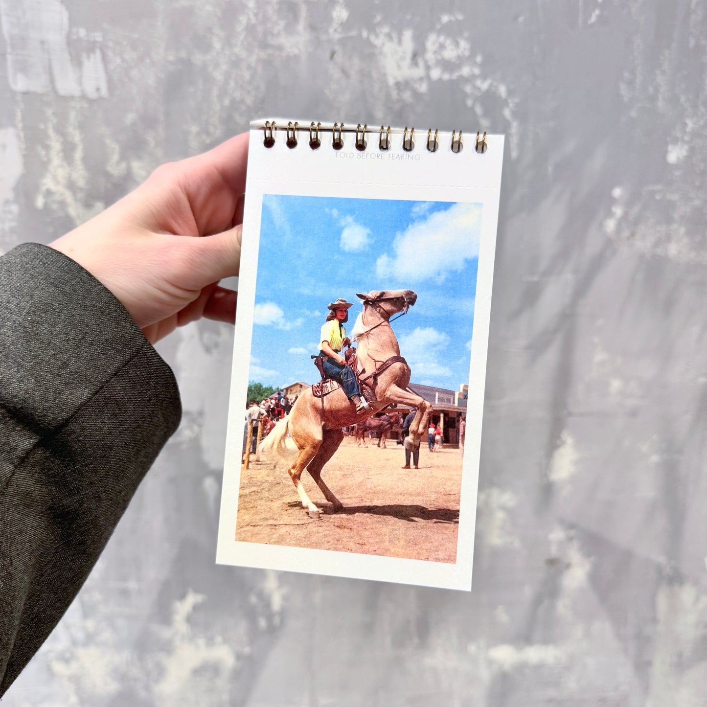 COWGIRLS Postcard Booklet