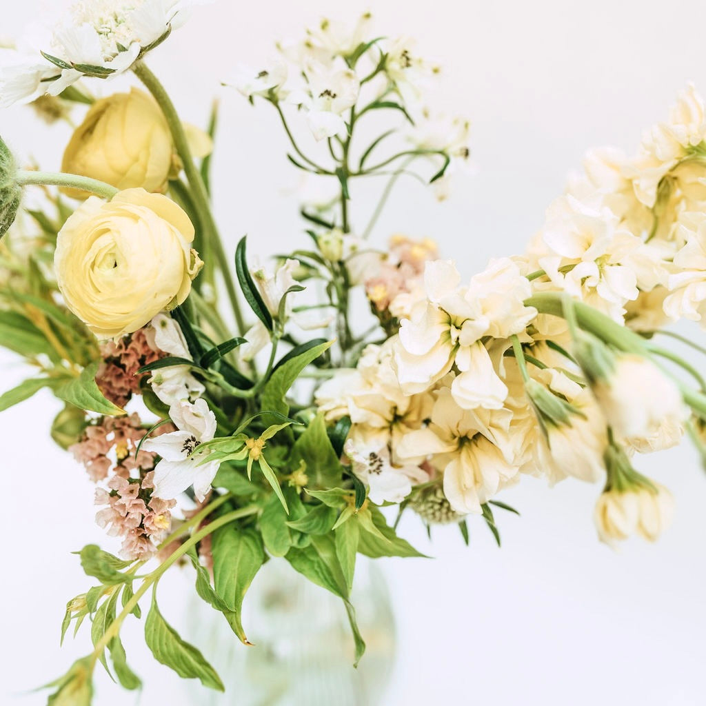 6 month fresh flower subscription