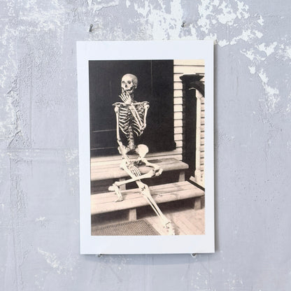Skeleton Posed For Joke Picture Postcard