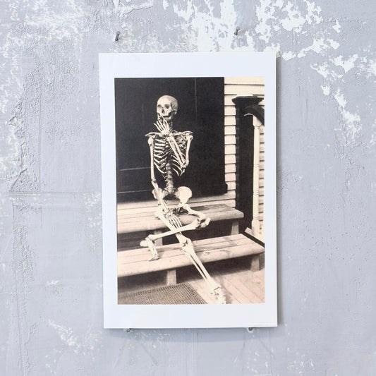 Skeleton Posed For Joke Picture Postcard