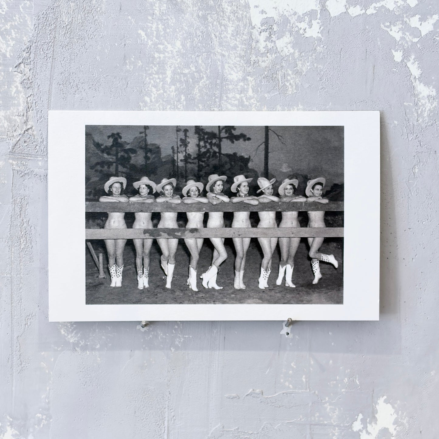 Nude Cowgirls by Fence Postcard