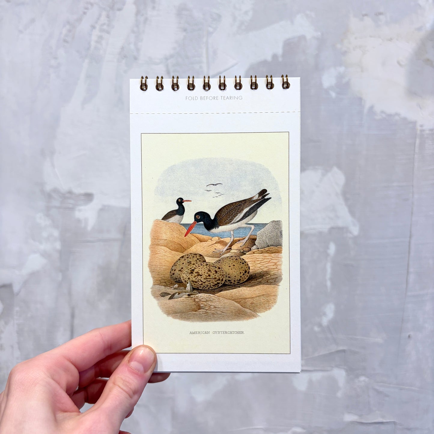 Birds Postcard Booklet