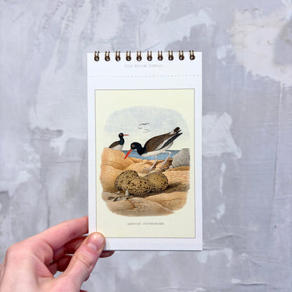 Birds Postcard Booklet