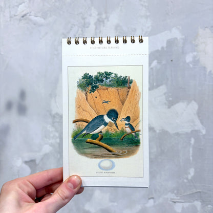Birds Postcard Booklet