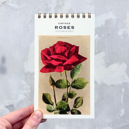 Roses Postcard Booklet
