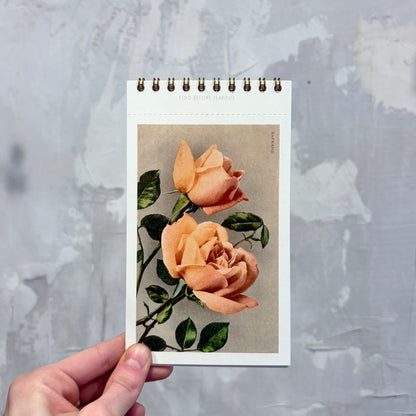 Roses Postcard Booklet