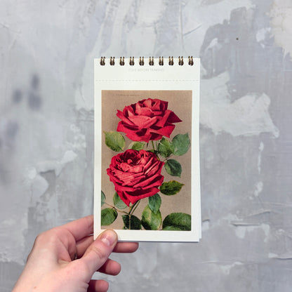 Roses Postcard Booklet