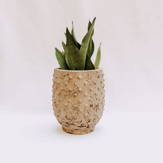 Dotted Tall Pot