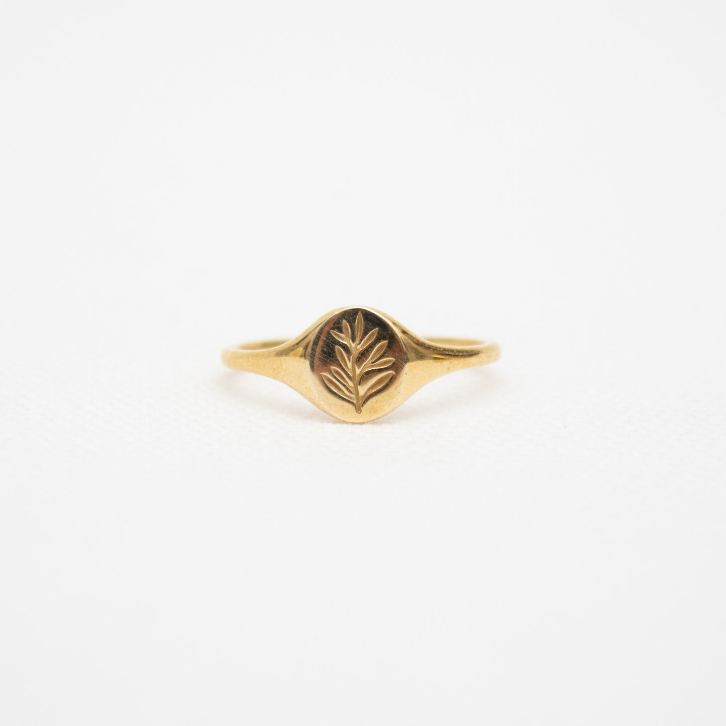 Mini Olive Round Signet Brass Ring