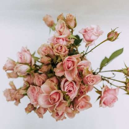 Mira: Love-Filled Fresh Flowers